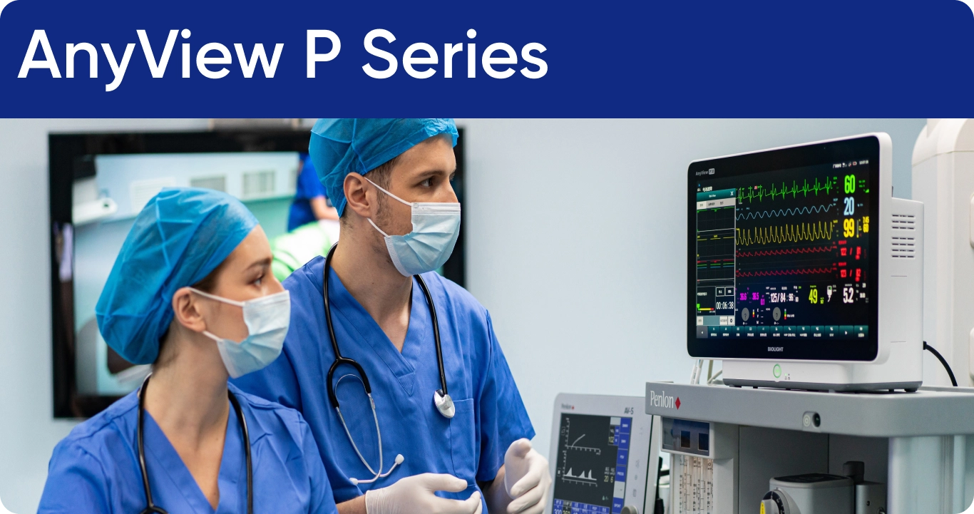 AnyView P Series