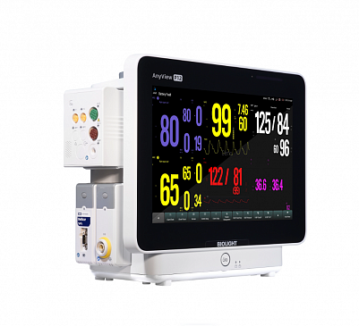 Монитор пациента Biolight AnyView P12
